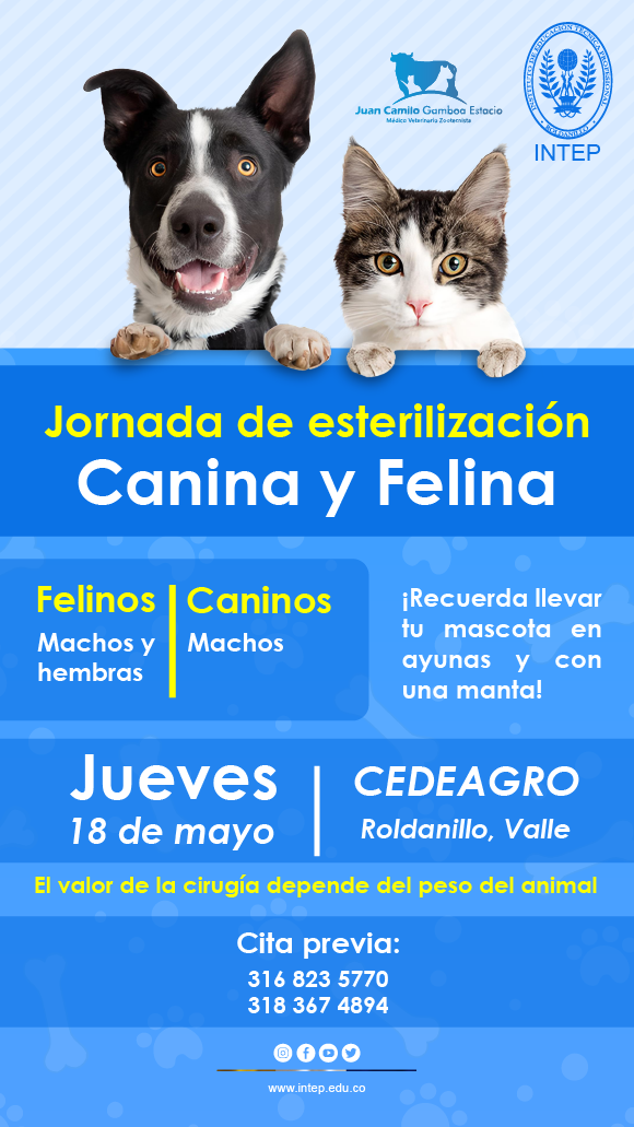 Jornada de Esterilización Canina y Felina