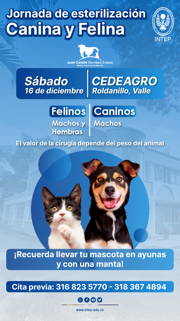 Jornada de Esterilización Canina y Felina