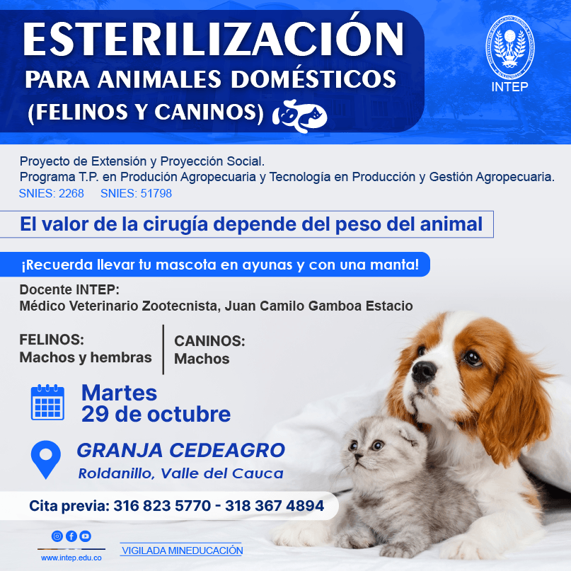 Jornada de Esterilización para animales domésticos (Felinos y caninos)