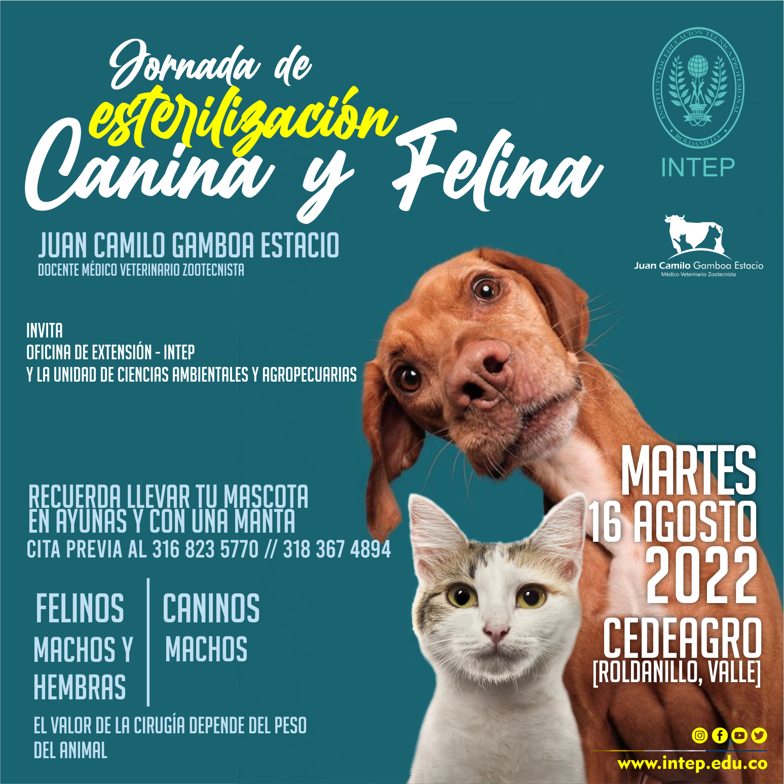 Jornada de Esterilización Canina y Felina