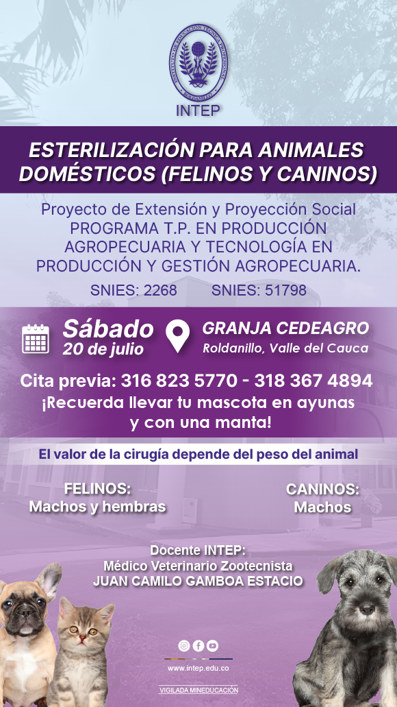 Jornada de Esterilización para animales domésticos (Felinos y caninos)