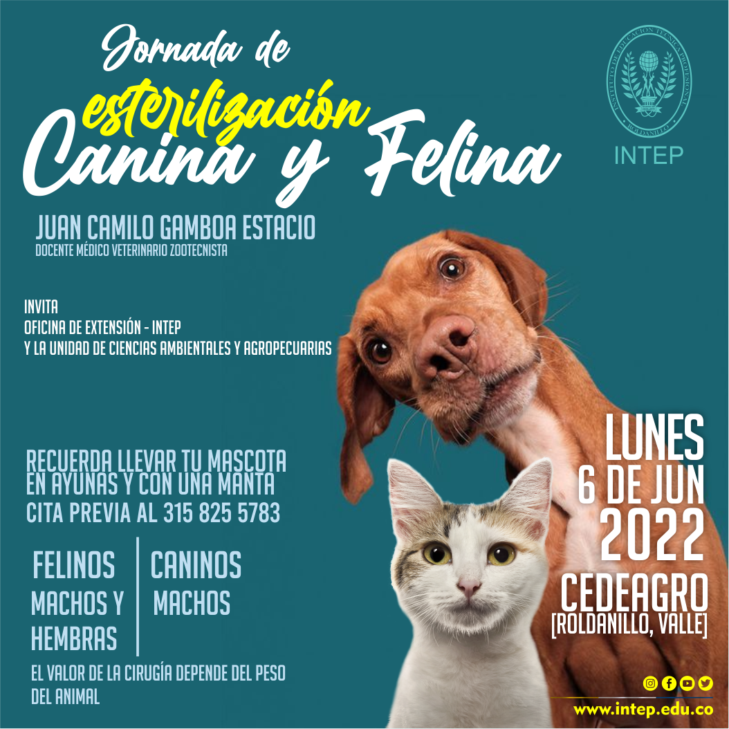 Vuelve la Jornada de Esterilización Canina y Felina