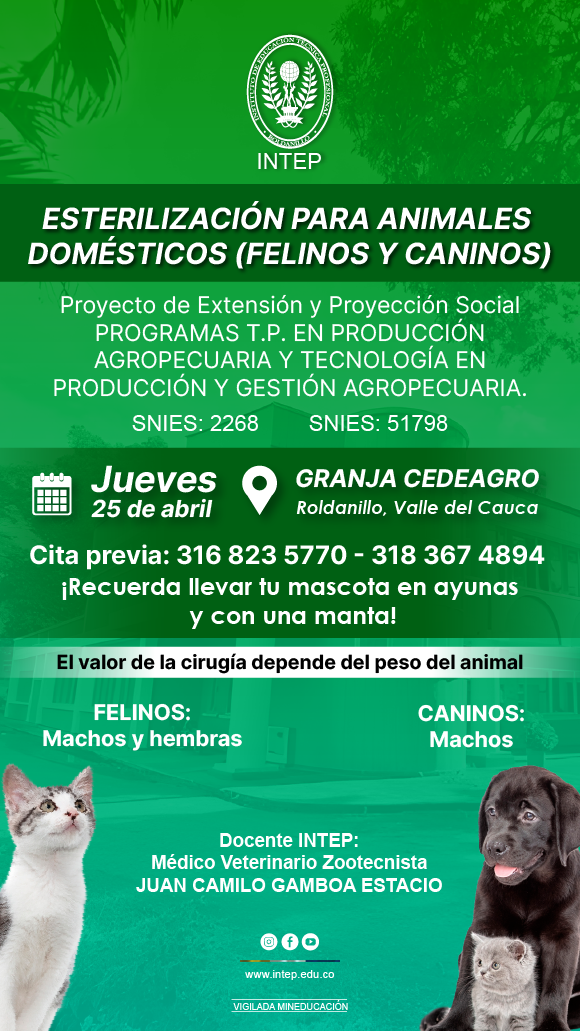 PROYECTO: ESTERILIZACIÓN PARA ANIMALES DOMÉSTICOS (FELINOS Y CANINOS).