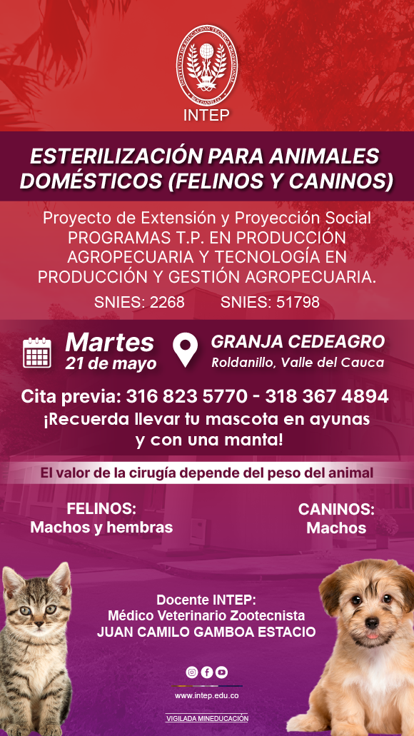 Jornada de Esterilización para animales domésticos (Felinos y caninos)