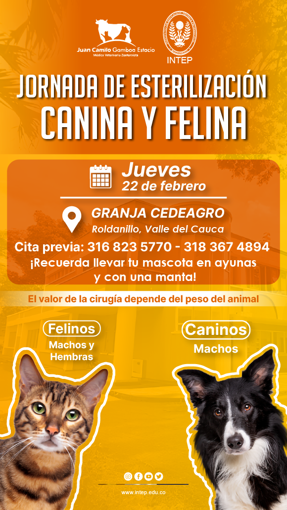 Jornada de Esterilización Canina y Felina