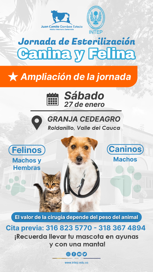 AMPLIACIÓN DE LA JORNADA DE ESTERILIZACIÓN CANINA Y FELINA