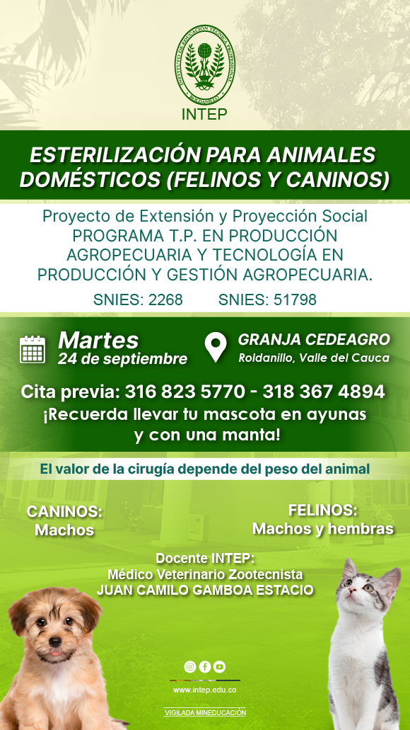 Jornada de Esterilización para animales domésticos (Felinos y caninos)