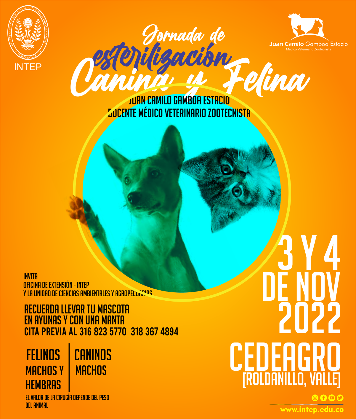 Jornada de Esterilización Canina y Felina