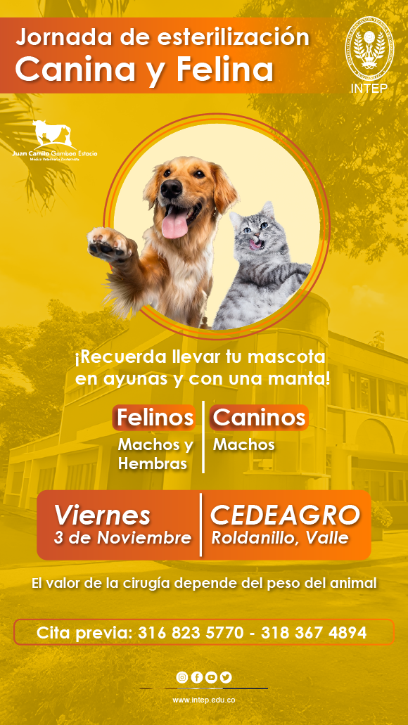 Jornada de Esterilización Canina y Felina