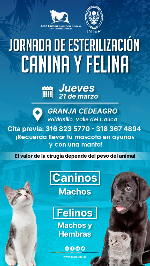 Jornada de Esterilización Canina y Felina