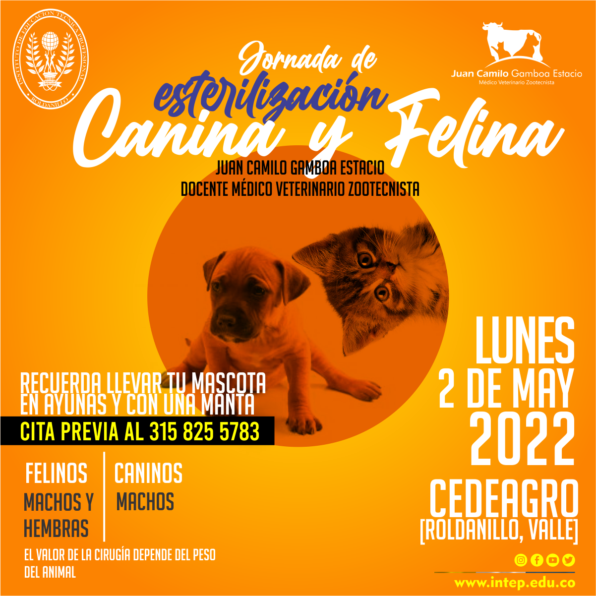 Jornada de Esterilización Canina y Felina 