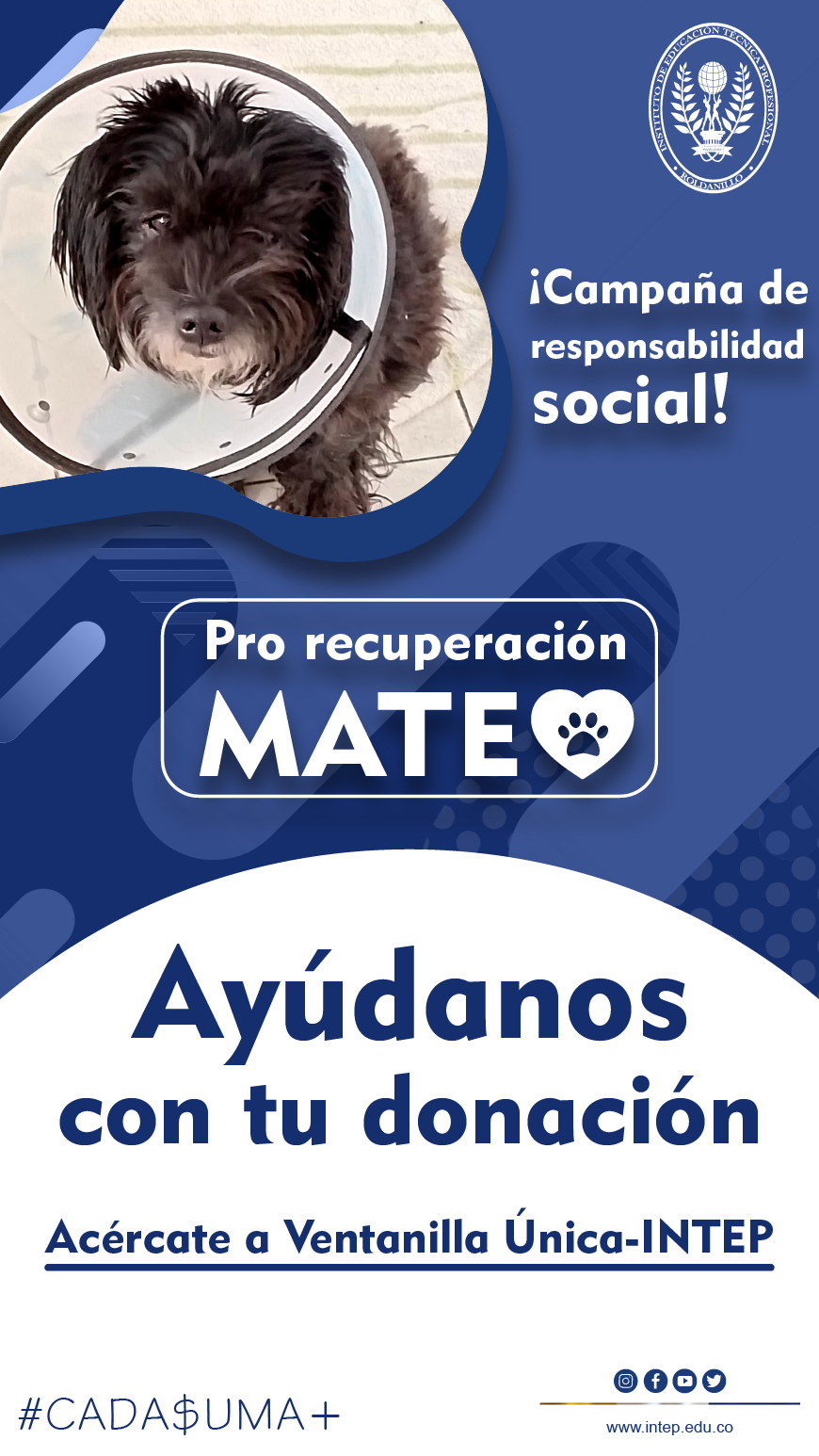  Pro recuperación MATEO