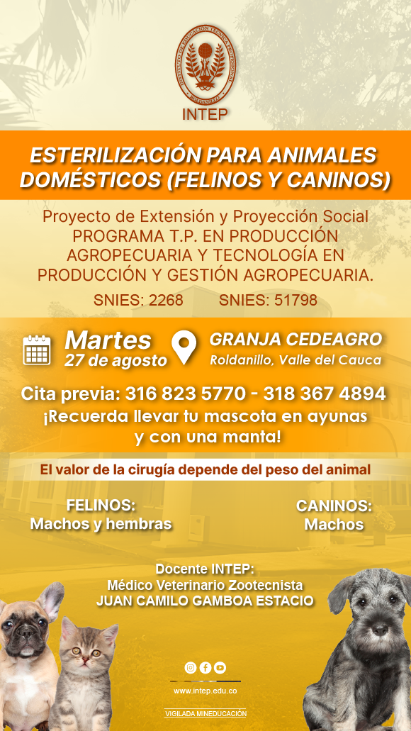 Jornada de Esterilización para animales domésticos (Felinos y caninos)