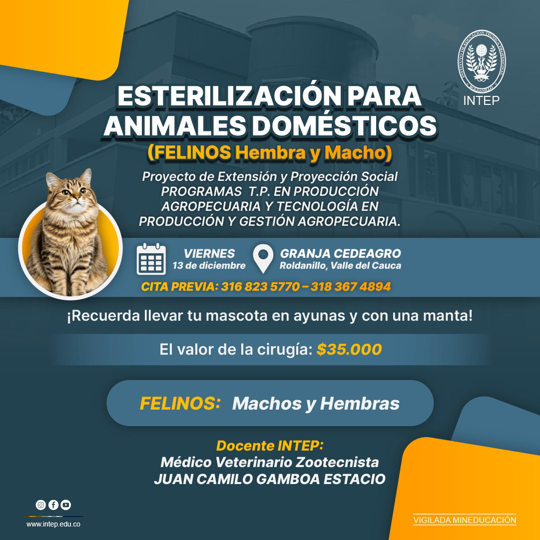 ESTERILIZACIÓN PARA ANIMALES DOMÉSTICOS.