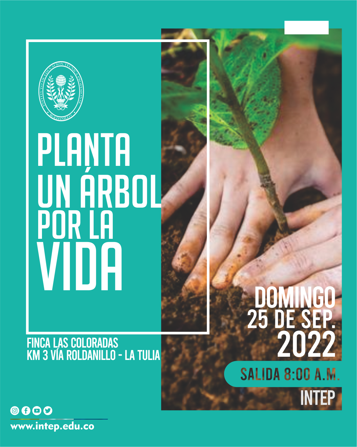 Planta un árbol por la vida