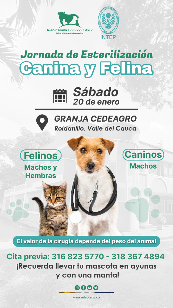 Jornada de Esterilización Canina y Felina