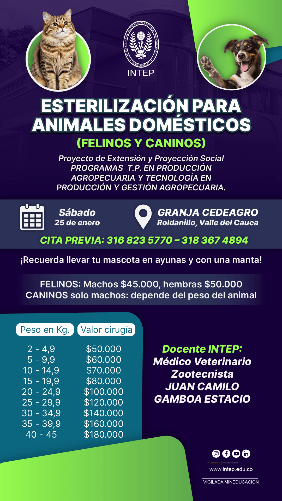 Jornada de Esterilización para animales domésticos (Felinos y caninos). 