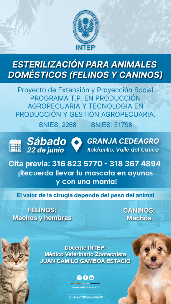 Jornada de Esterilización para animales domésticos (Felinos y caninos)