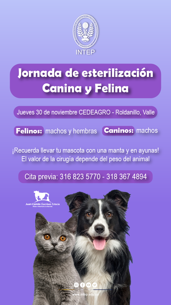 Jornada de Esterilización Canina y Felina