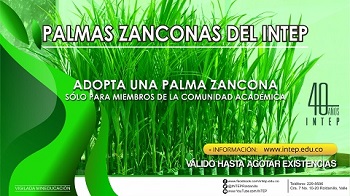 Adopta tu Palma Zancona