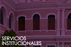 Servicios Institucionales