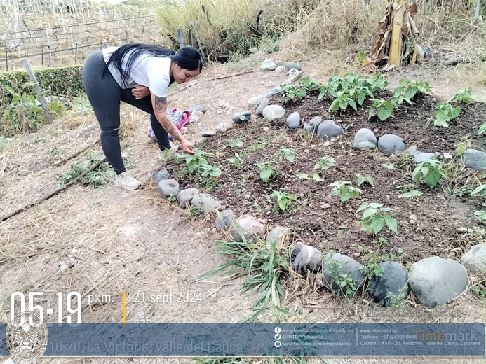 Práctica Horticultura, La Victoria Valle