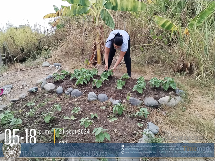 Práctica Horticultura, La Victoria Valle