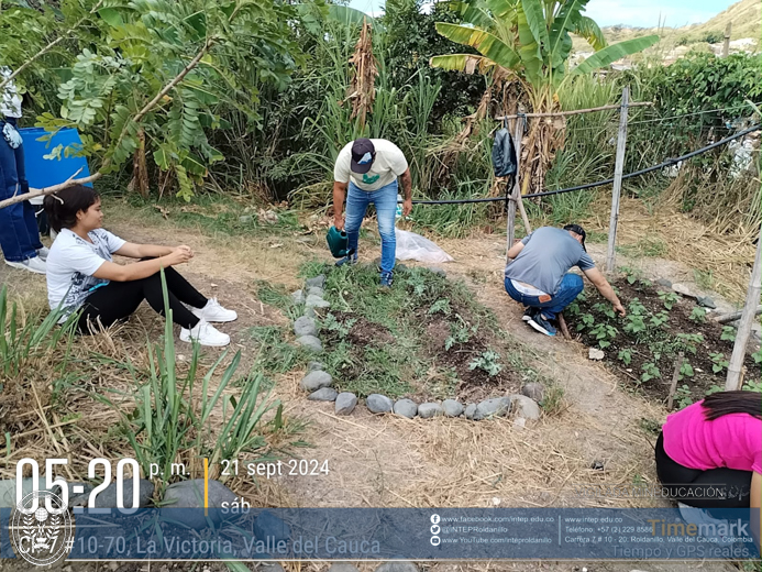 Práctica Horticultura, La Victoria Valle